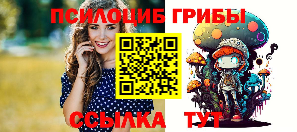 Касимов  Галлюциногенные грибы Psilocybe  Вход с VPN 